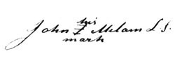Signature 1770 Benjamin
